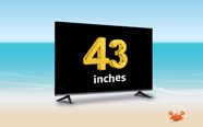 43 Inches TVs